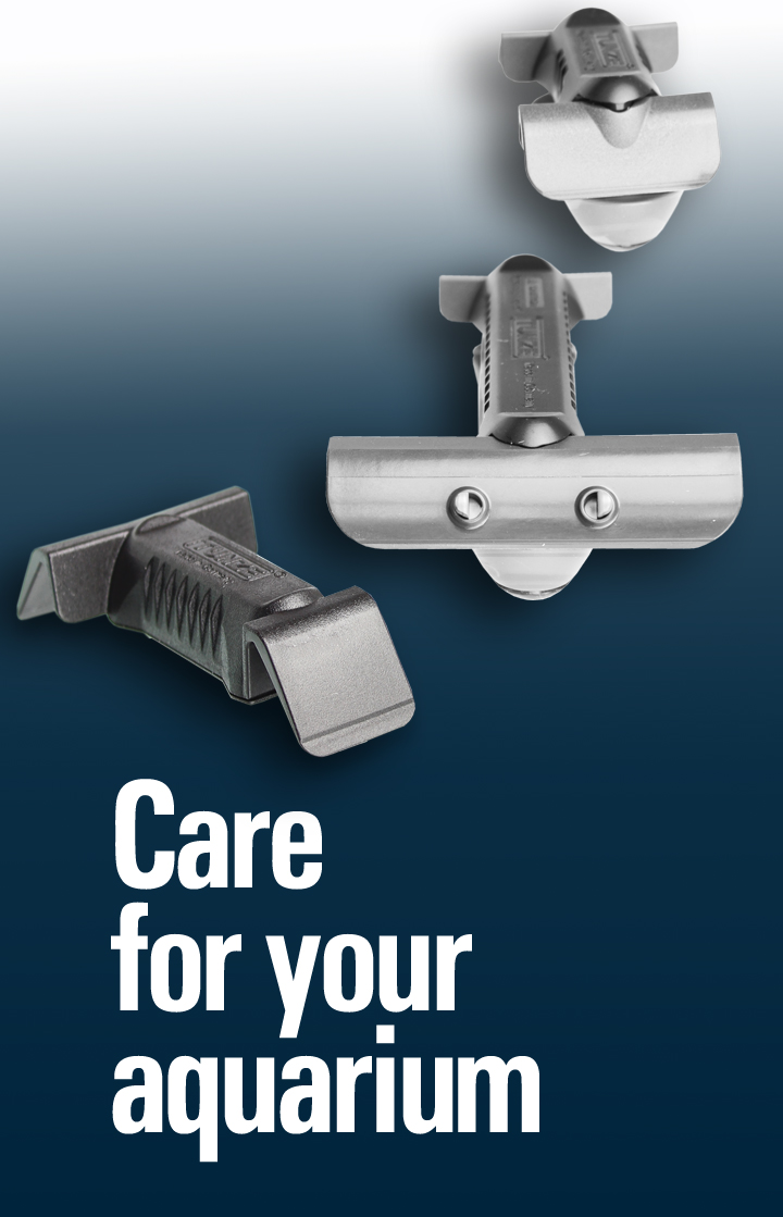 Care Magnet — Care for your aquarium