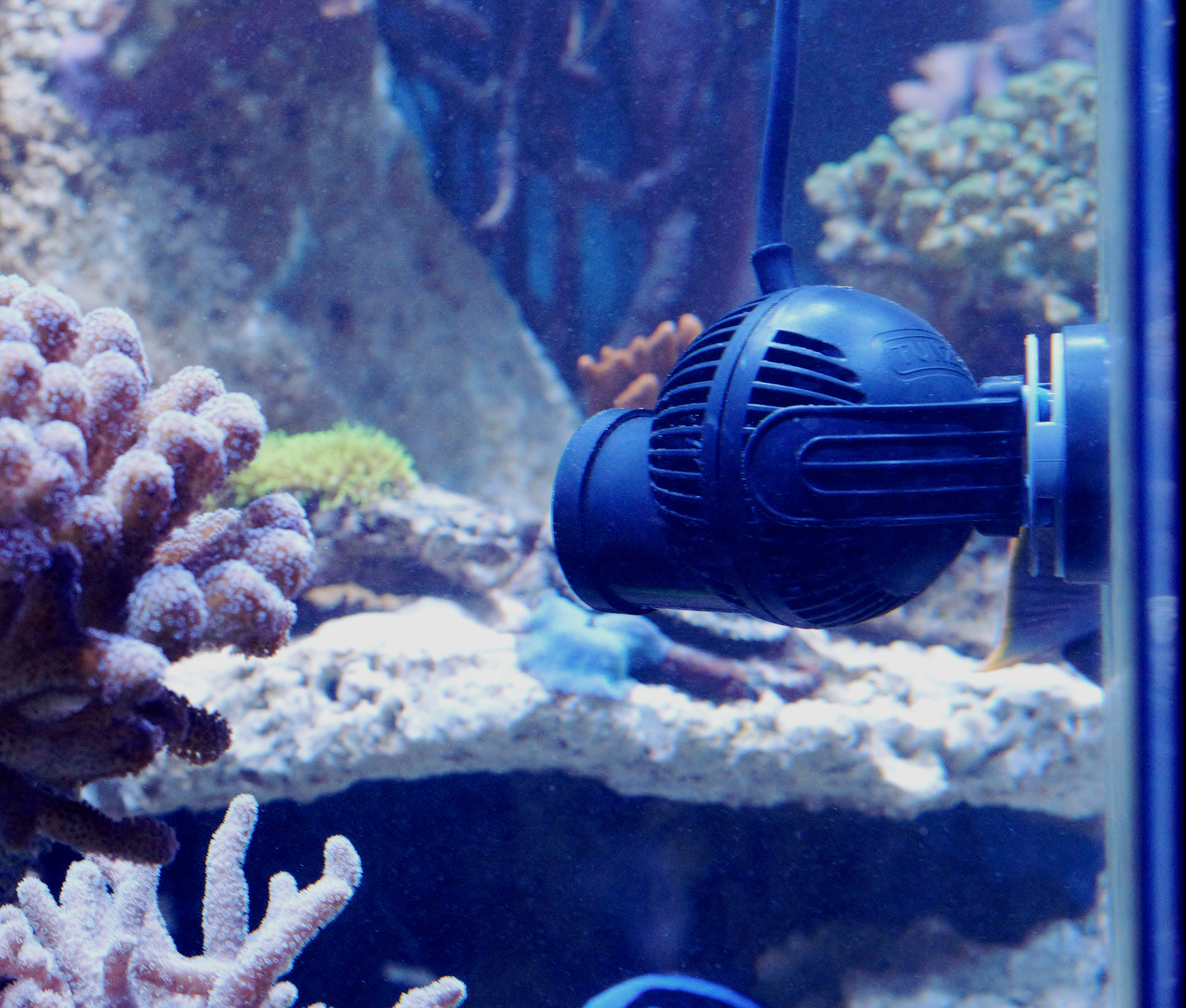 Turbelle® nanostream® 6025