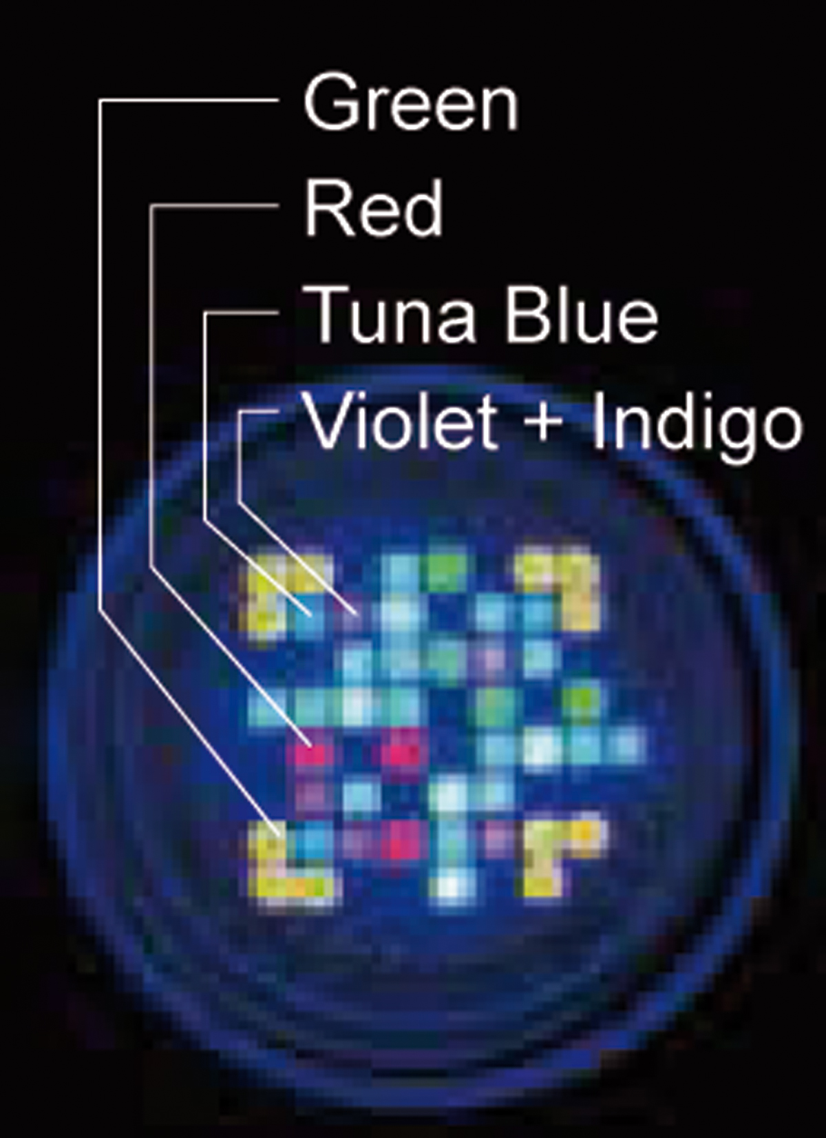 LED A360XE Tuna Blue