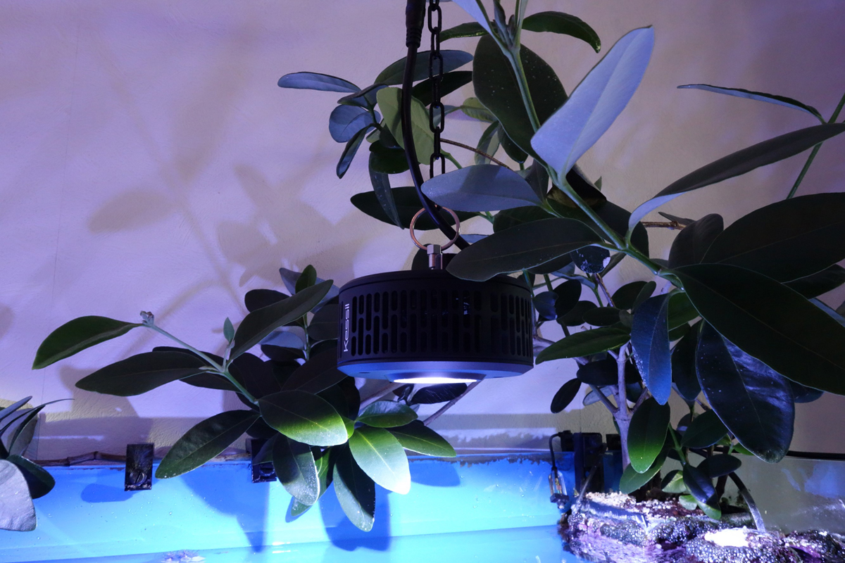 LED A360XE Tuna Blue