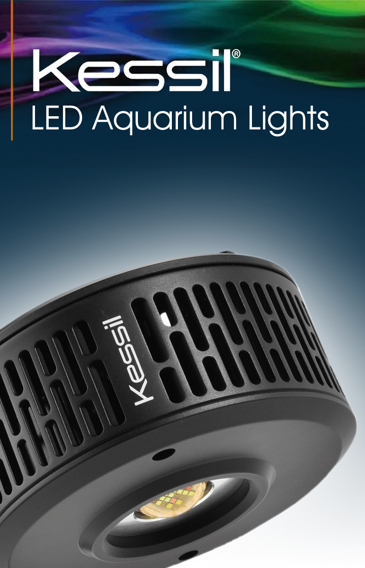 As a leading company in aquaristics since 1960, TUNZE® Aquarientechnik is delighted  about the cooperation with the pioneering market leader in biotope illumination DiCon - Kessil®.