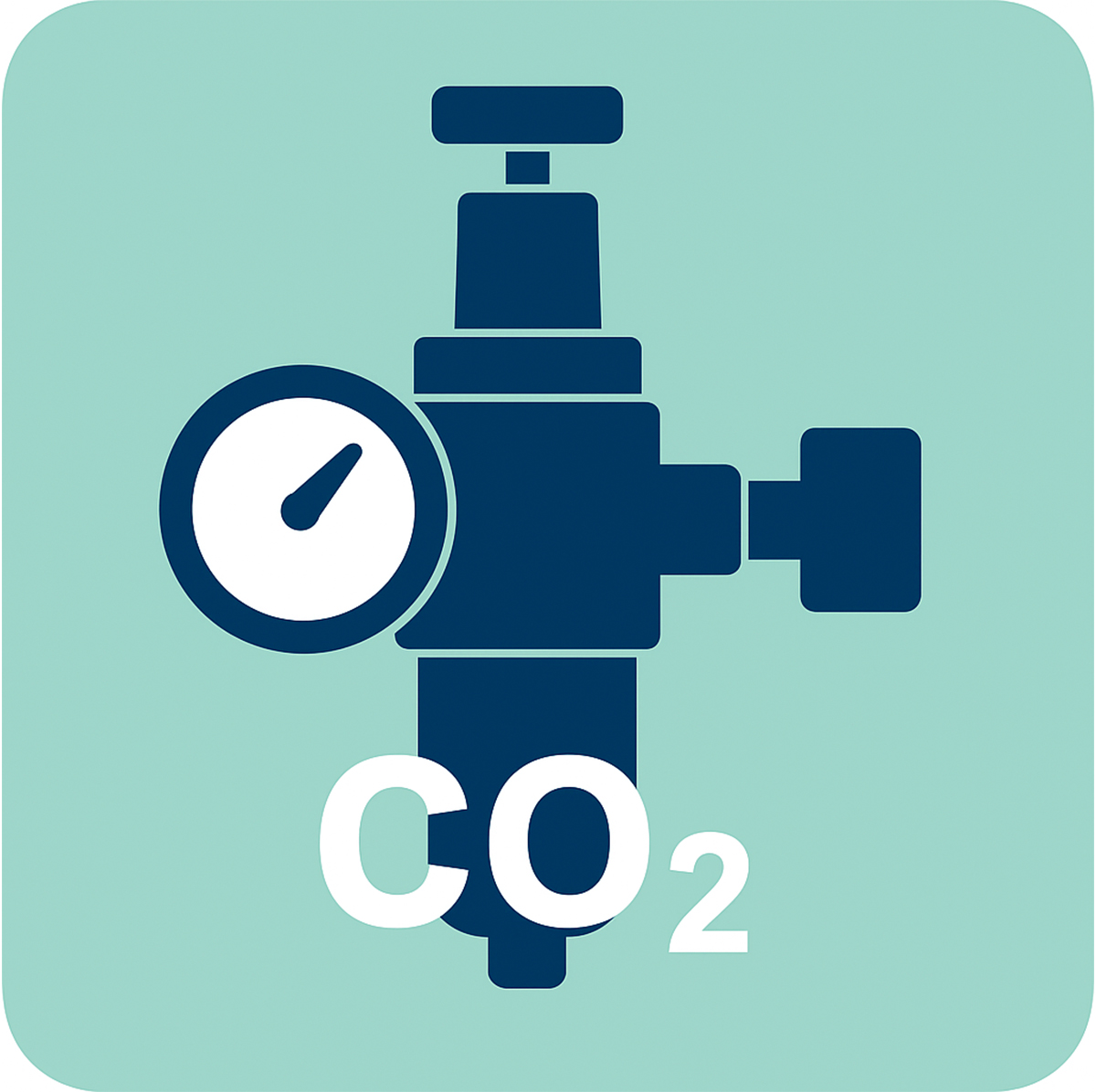 Fine adjustment screw for precise CO2 dosing