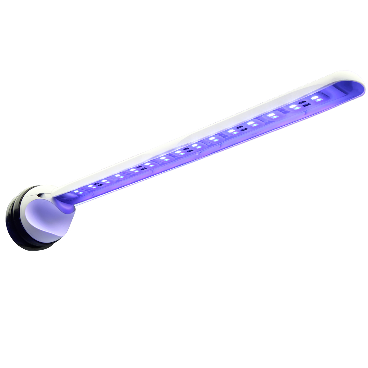 LED marine
