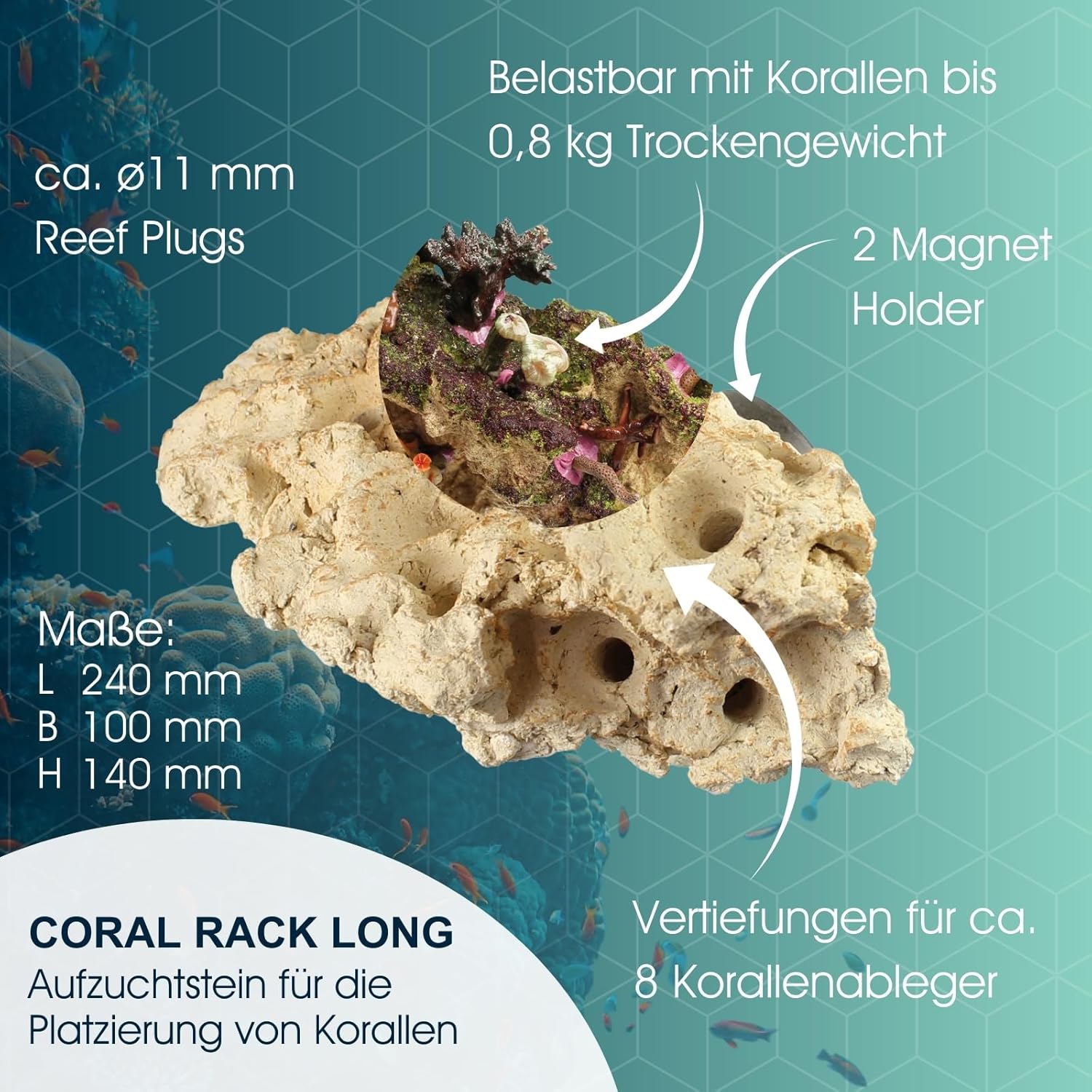 Coral Rack long