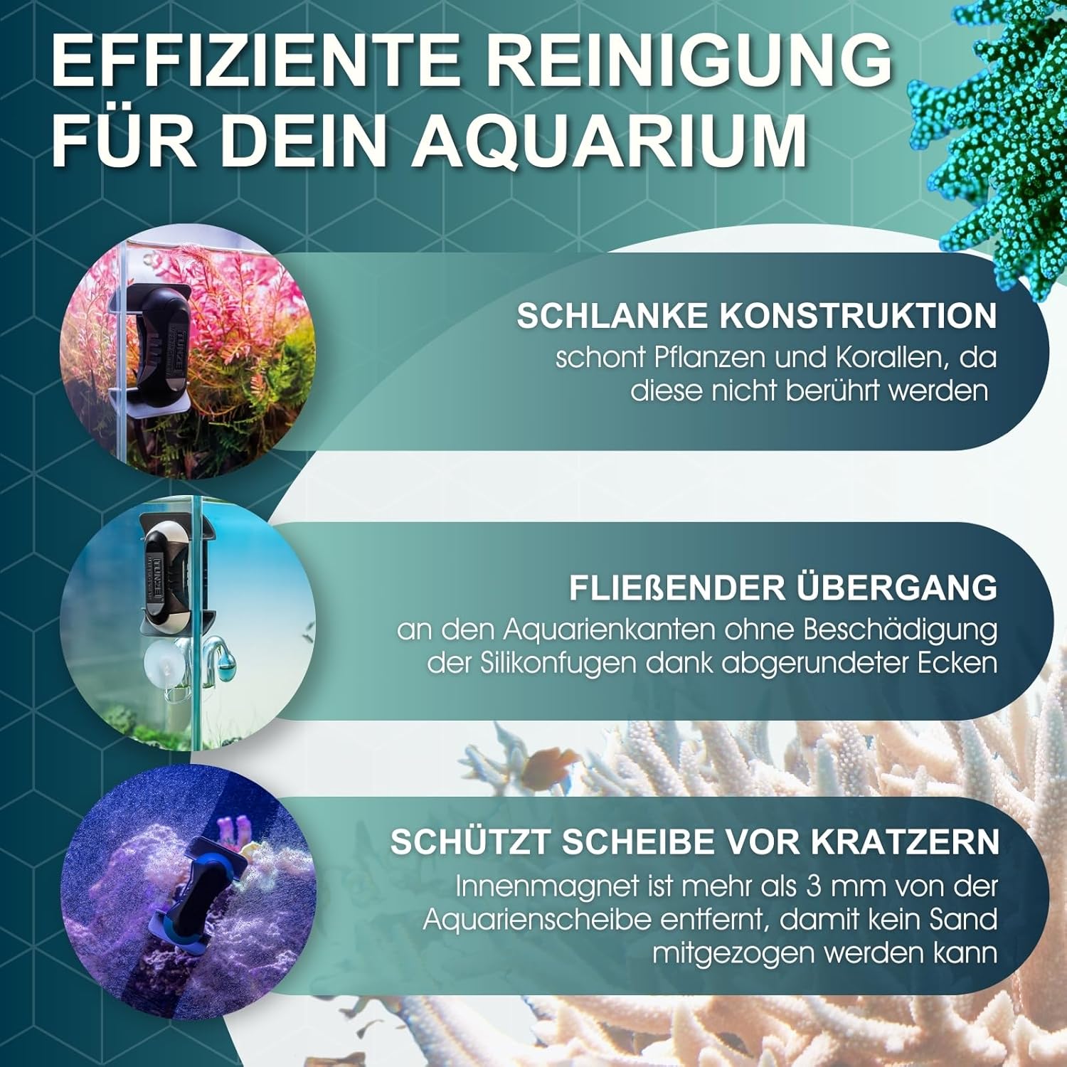 Care Magnet nano