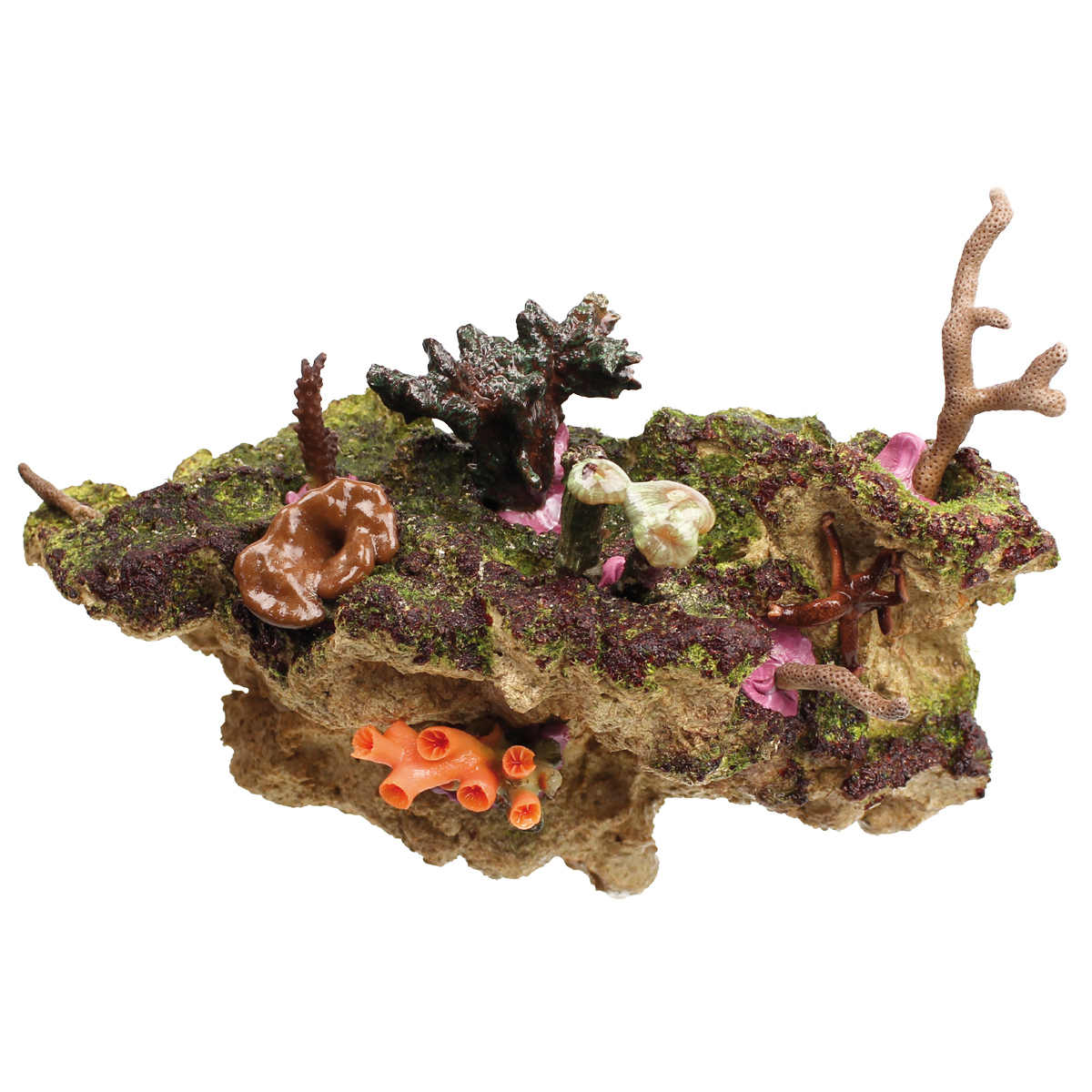 Coral Rack long