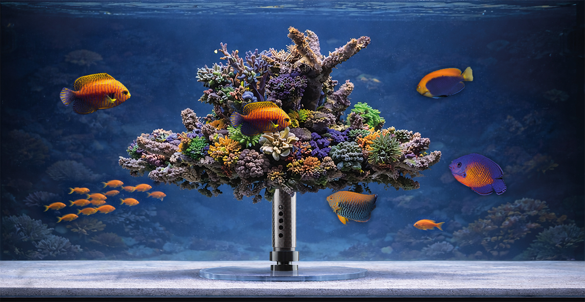 reef360° nano, ø20-25cm