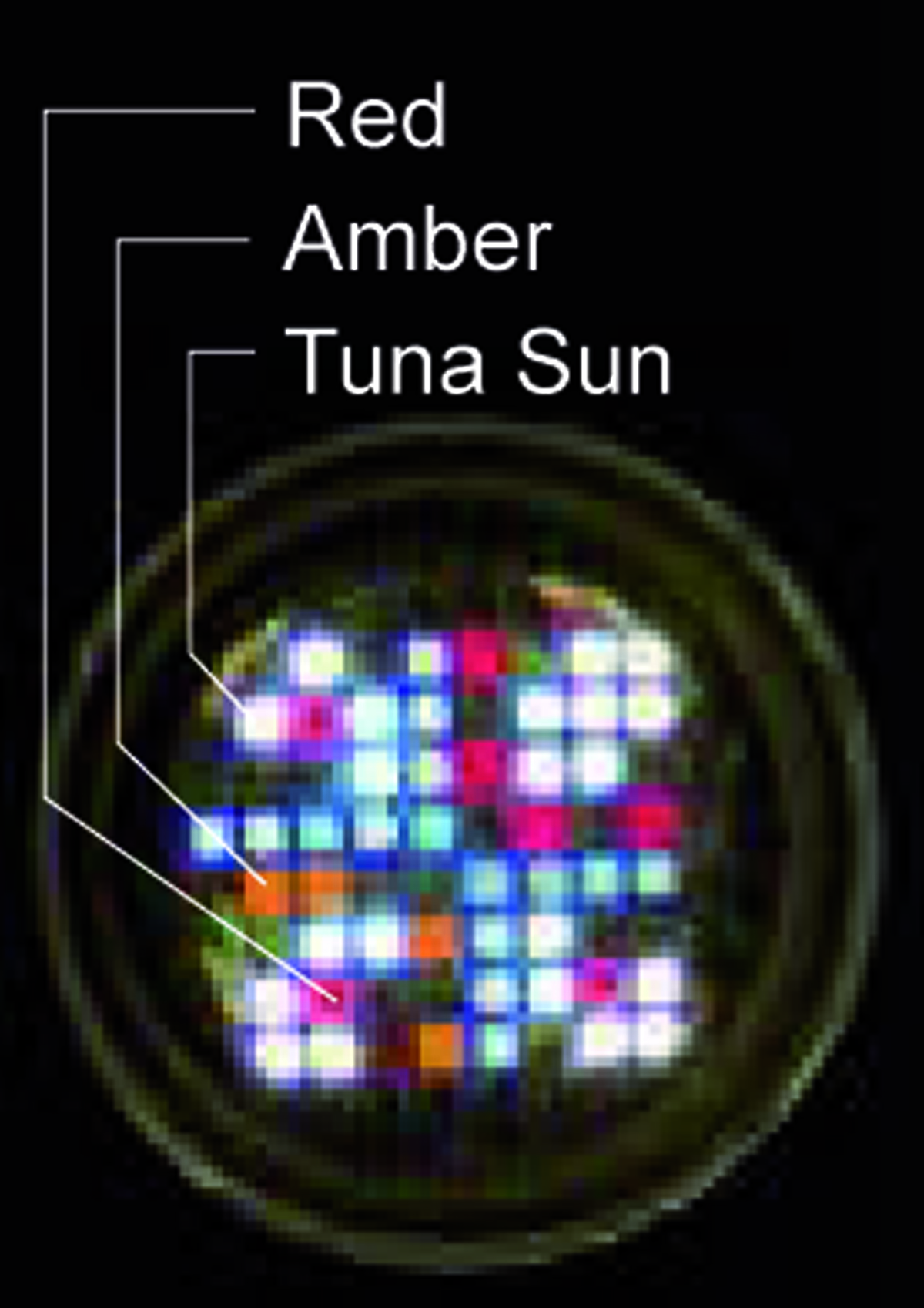 LED A360XE Tuna Sun