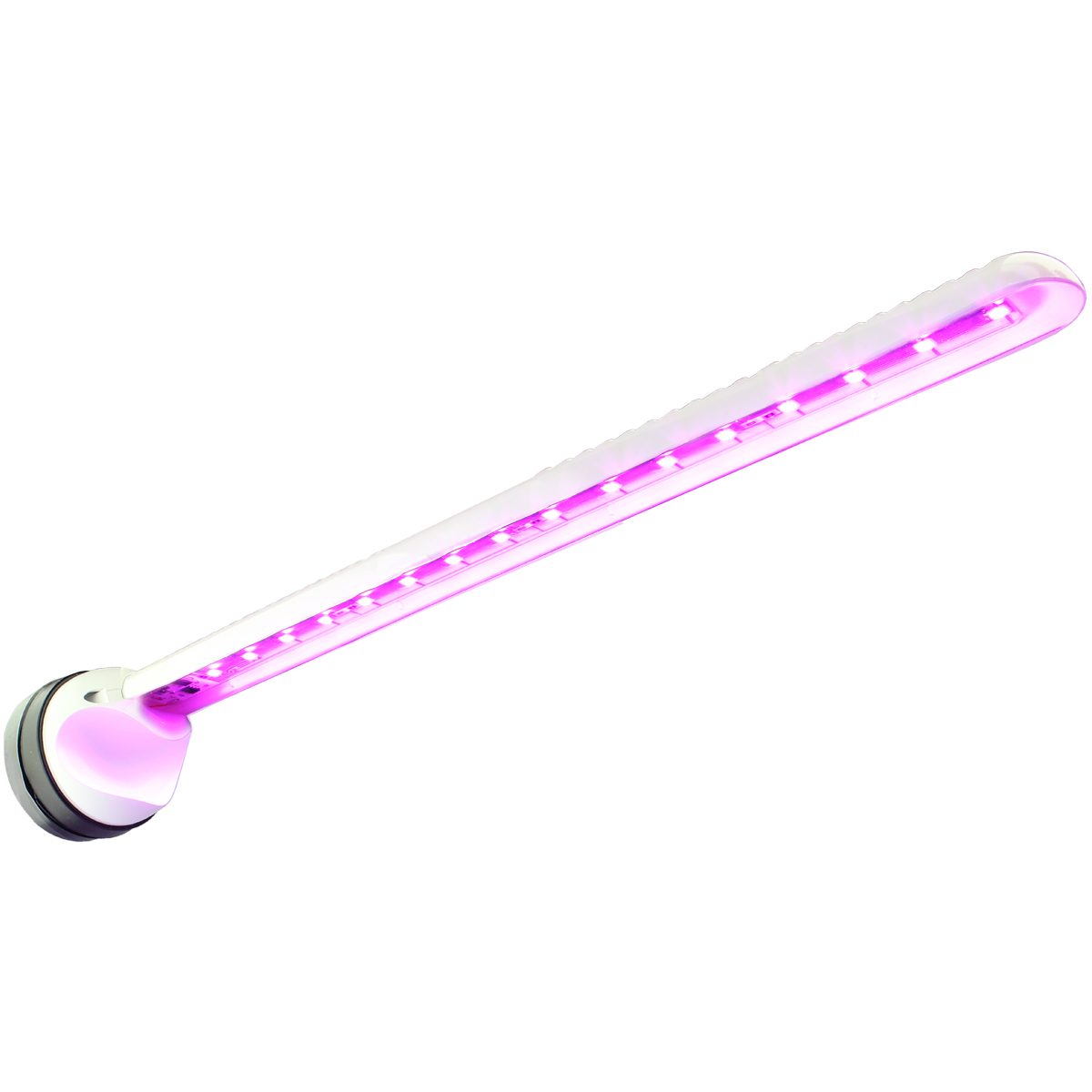 LED refugium