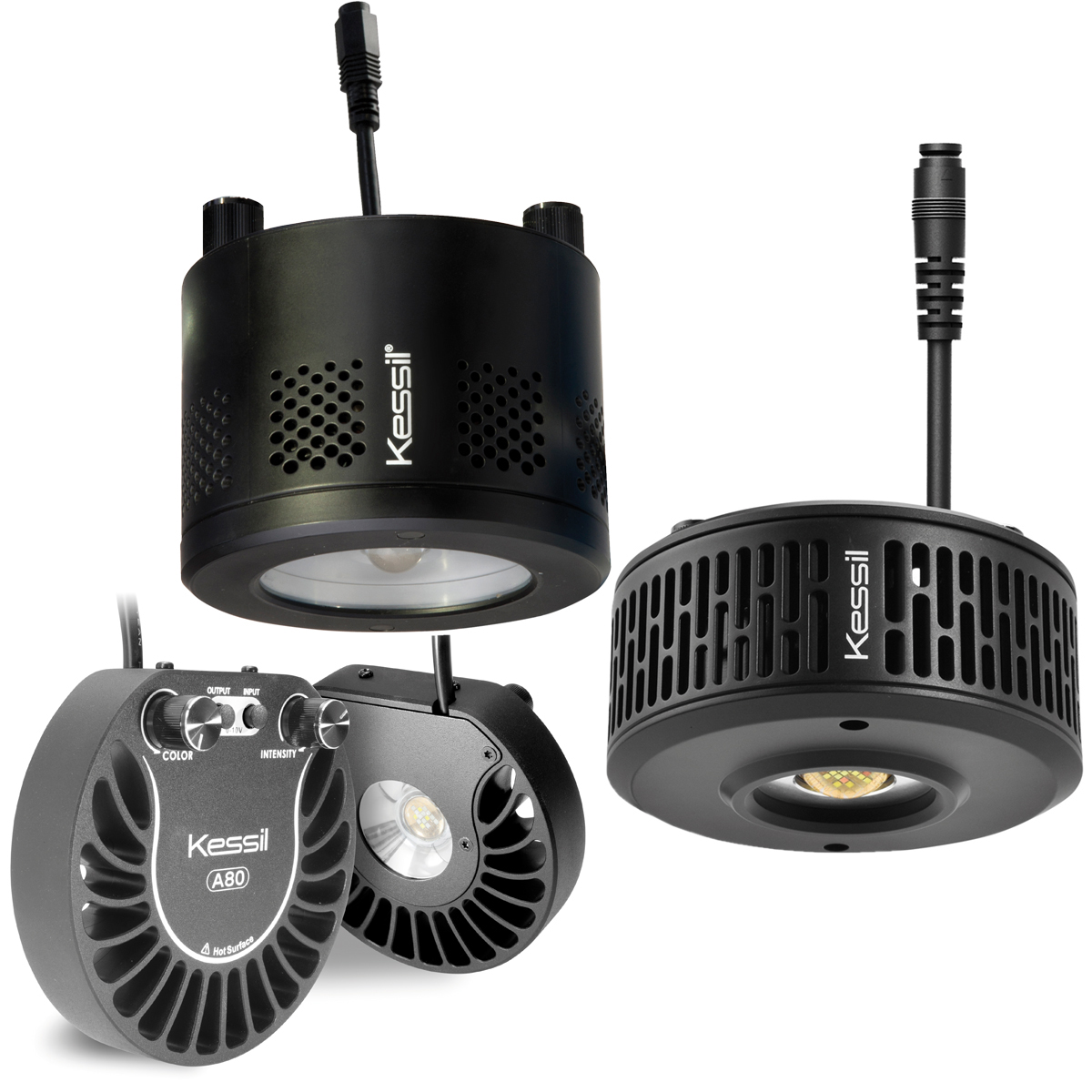 Kessil® LED