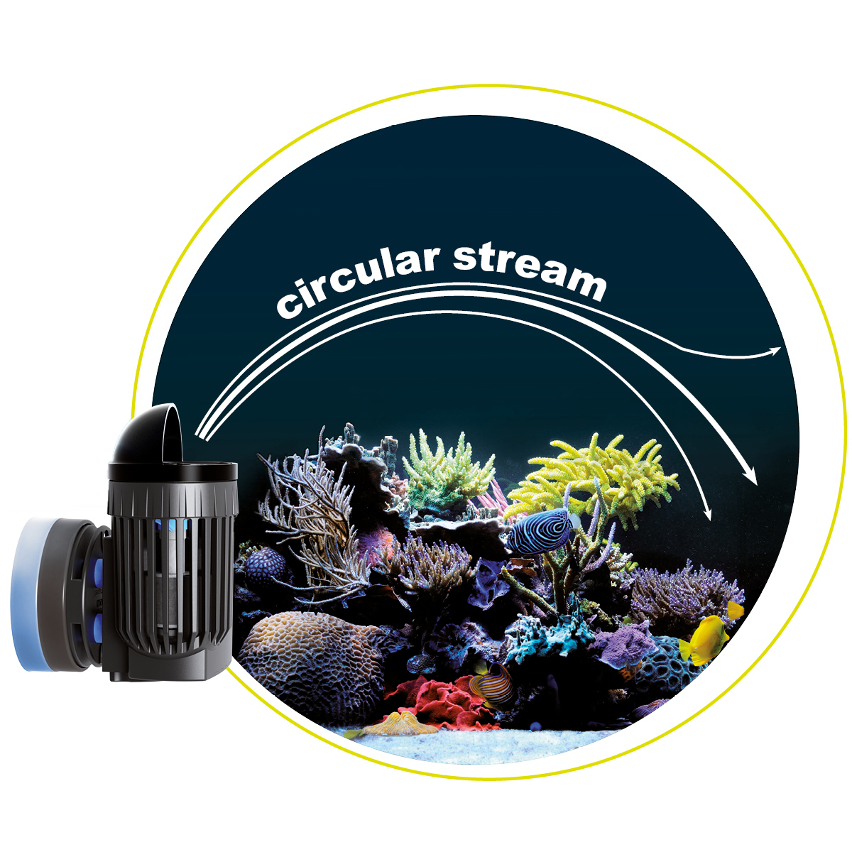 Circular flow
