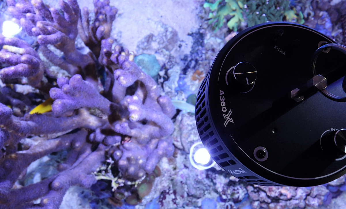 LED A360XE Tuna Blue