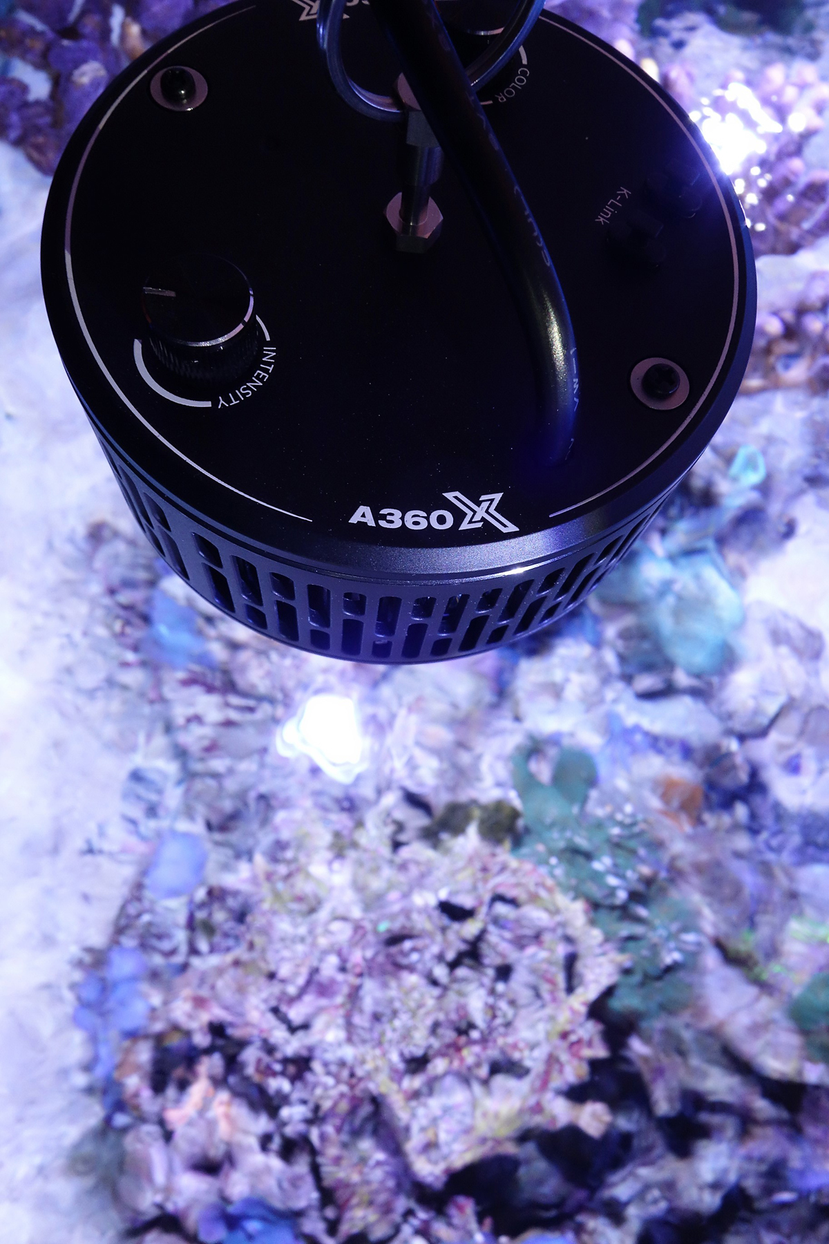 LED A360XE Tuna Blue